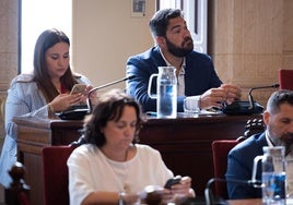 Arriba, derecha, el concejal de Deportes, Borja Vivas, que intervino en la defensa de esta iniciativa popular en el pleno para la construcción del estadio de fútbol, que no tiene ni presupuesto ni fecha.