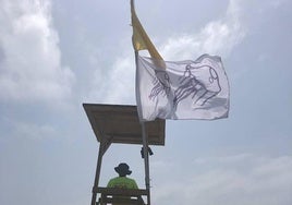 Bandera amarilla por medusas este viernes en dos playas de Málaga capital