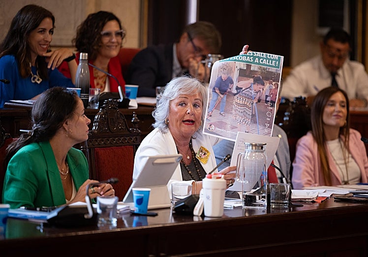 Teresa Porras, durante su intervención en el pleno del pasado jueves.