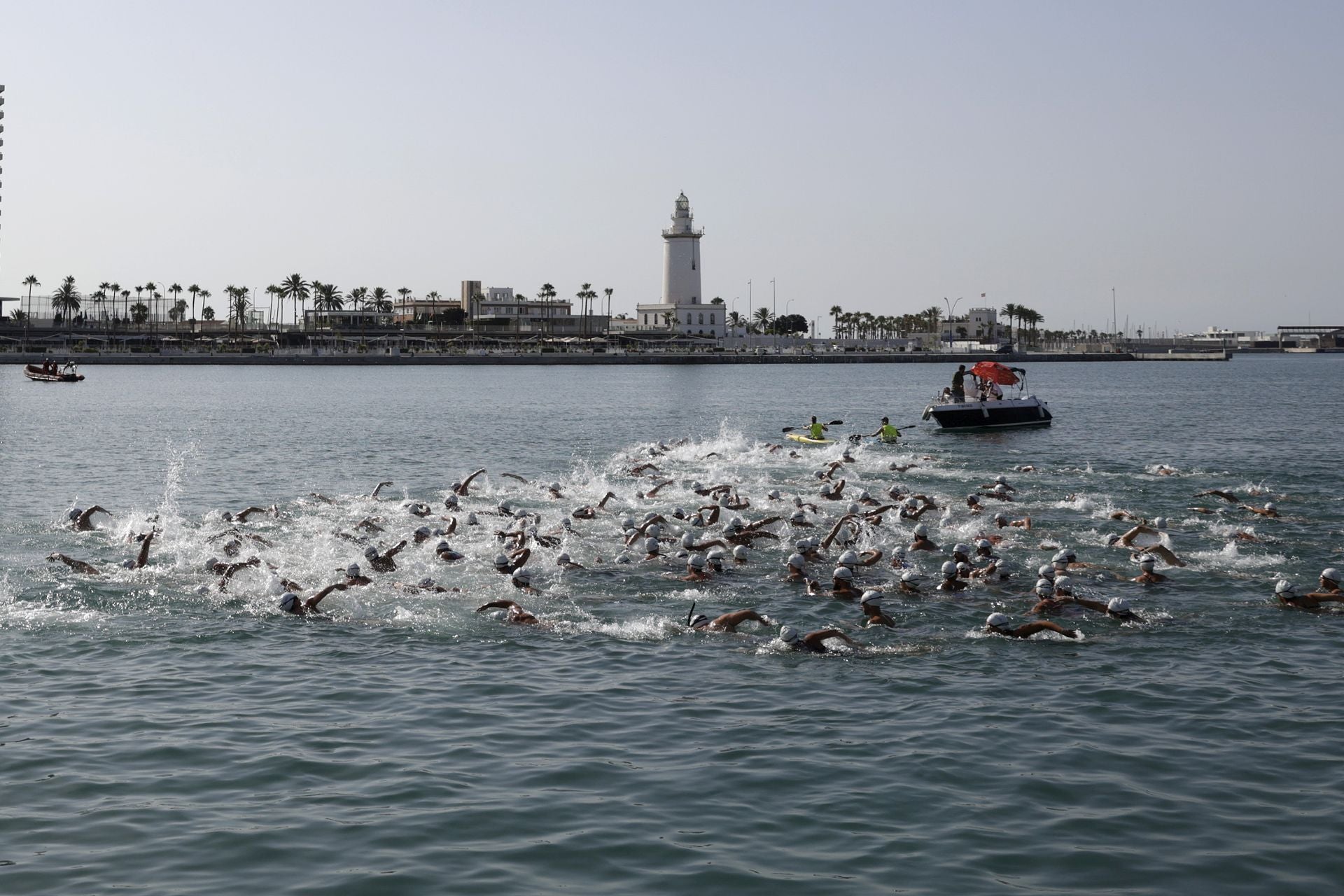 Travesía a nado del puerto, edición 65: más que un deporte, un estilo de vida