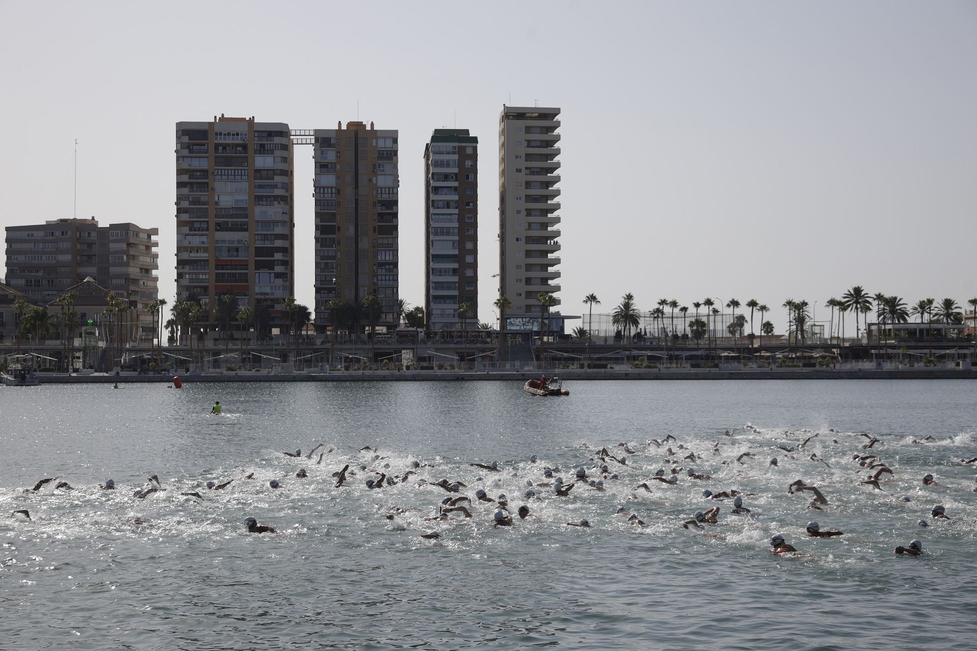 Travesía a nado del puerto, edición 65: más que un deporte, un estilo de vida
