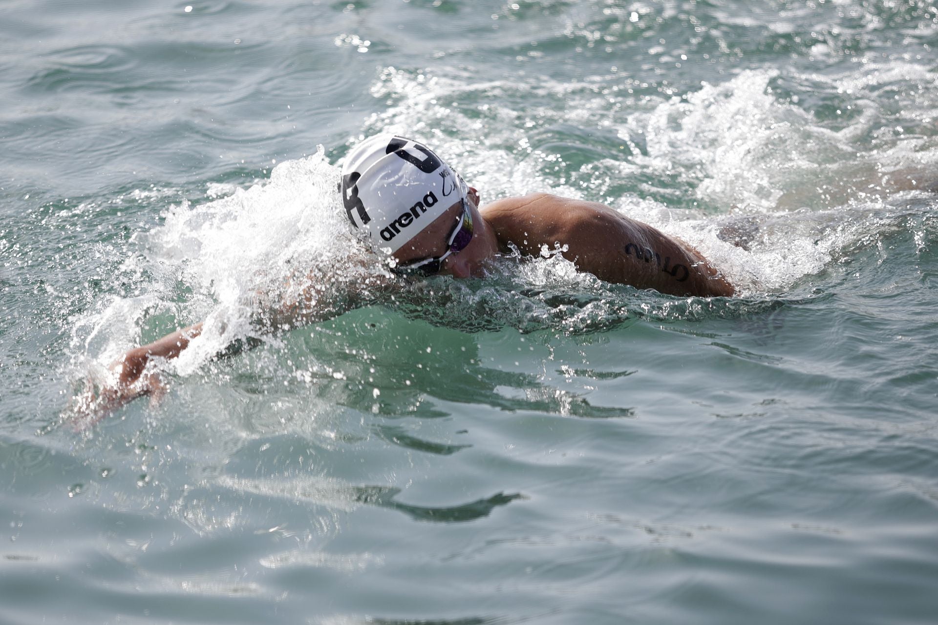 Travesía a nado del puerto, edición 65: más que un deporte, un estilo de vida