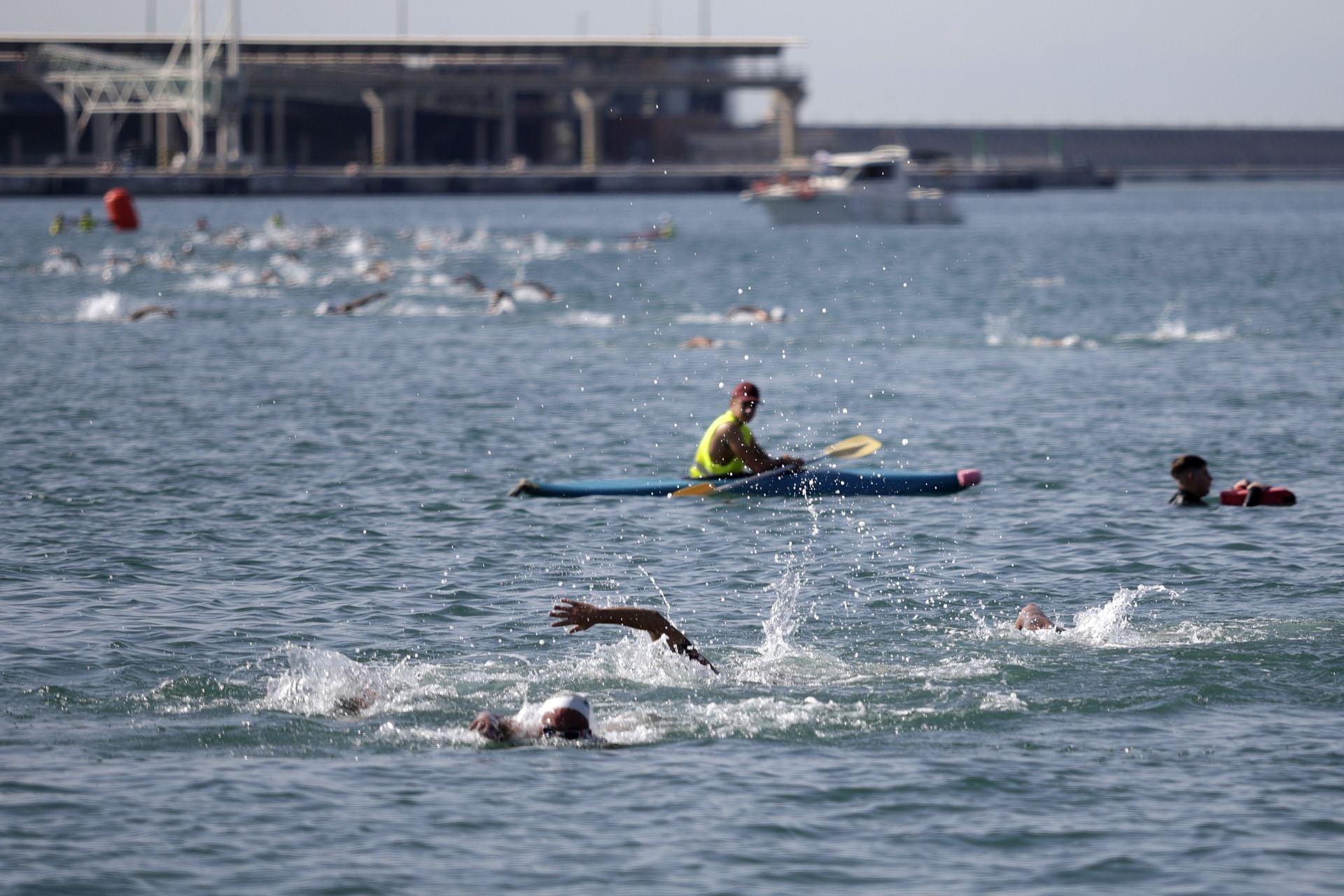 Travesía a nado del puerto, edición 65: más que un deporte, un estilo de vida