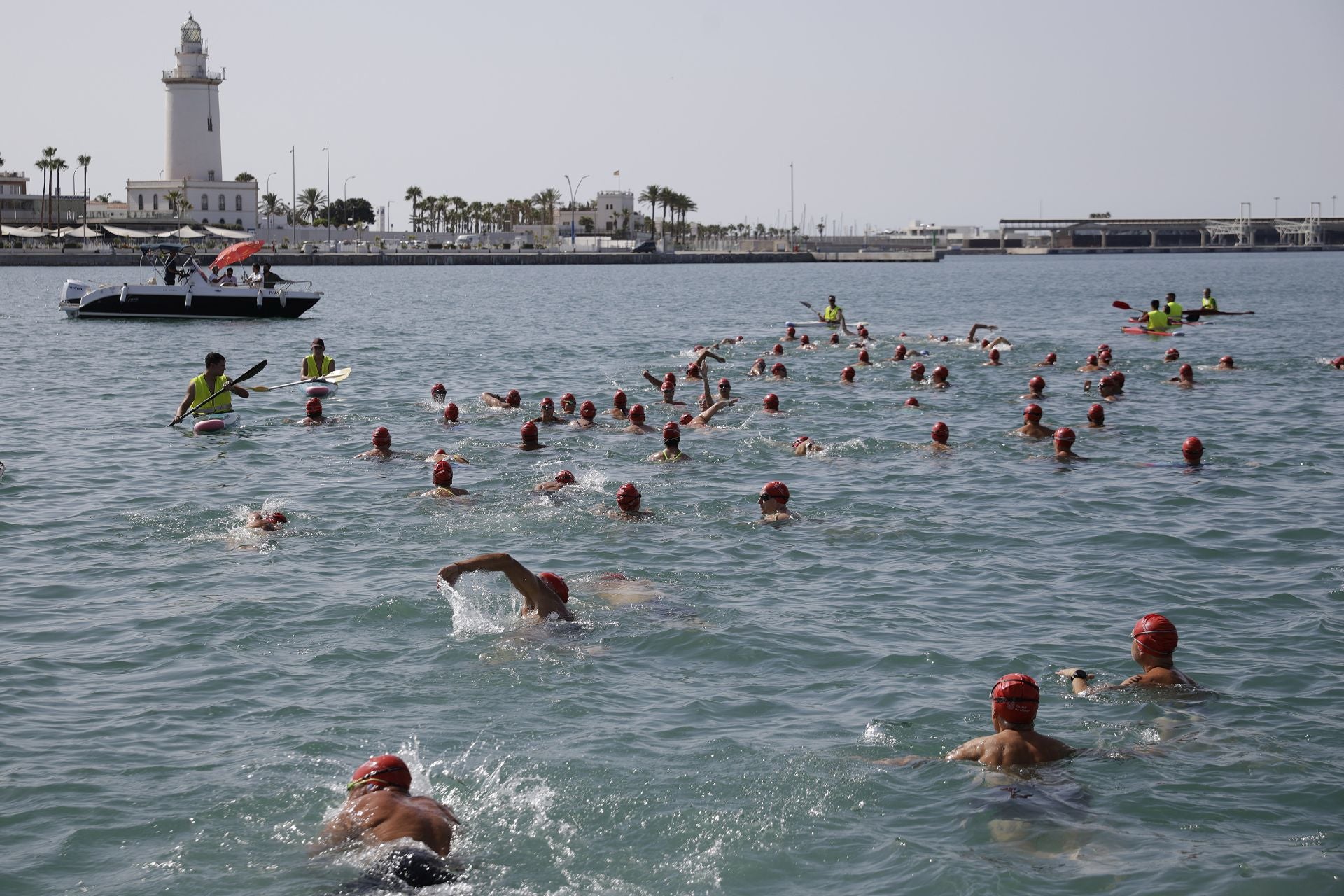 Travesía a nado del puerto, edición 65: más que un deporte, un estilo de vida