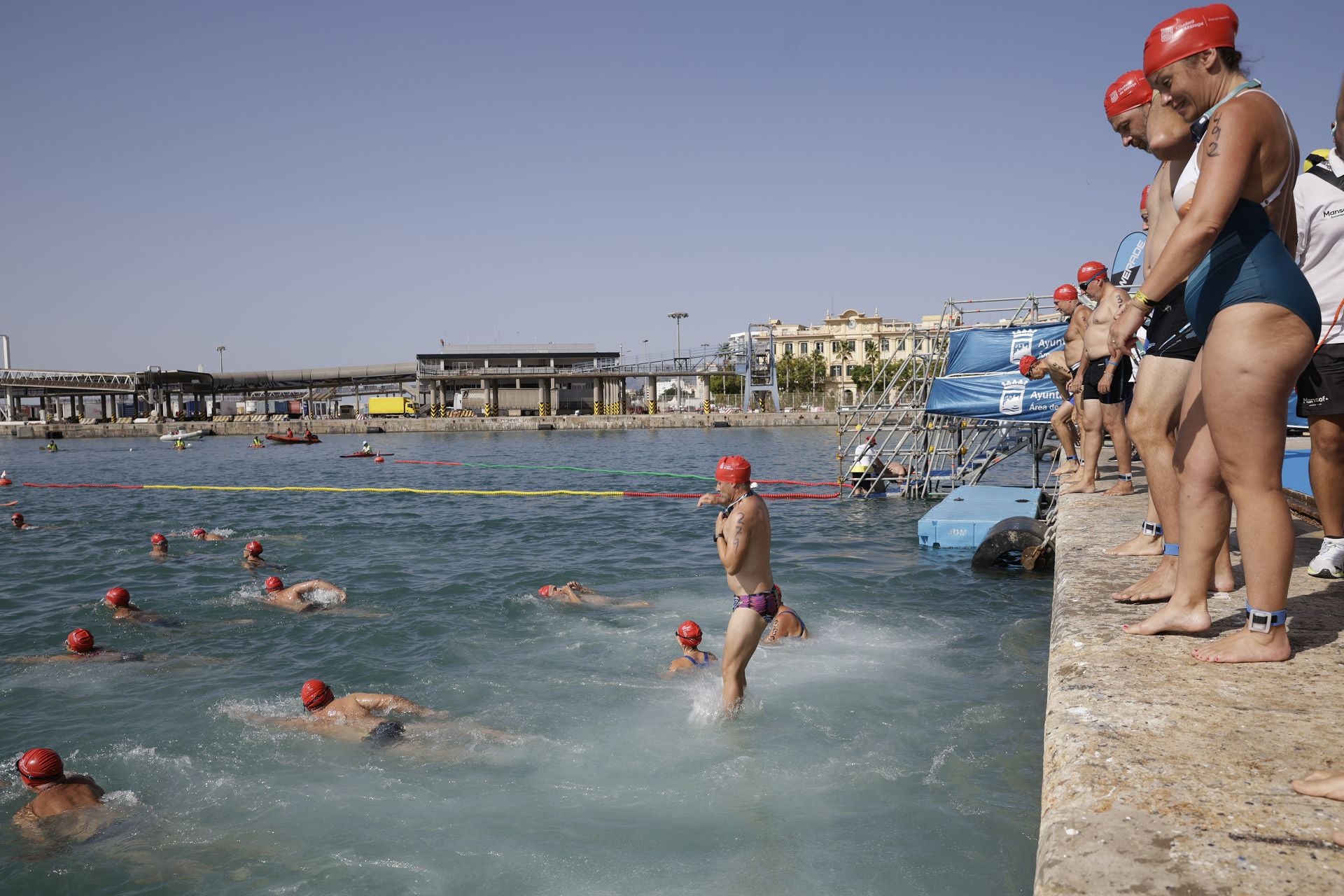 Travesía a nado del puerto, edición 65: más que un deporte, un estilo de vida