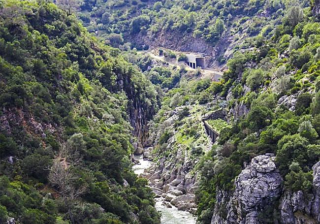 Buitreras del Guadiaro