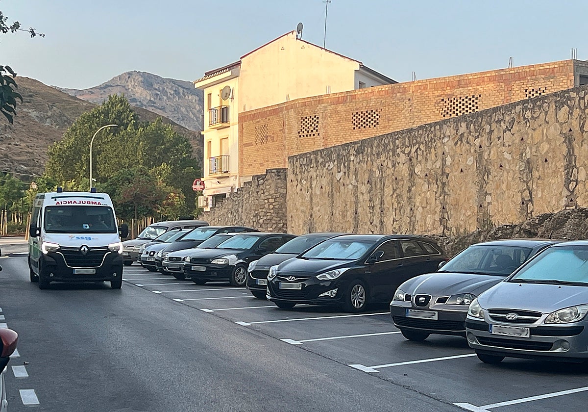 La calle Málaga es una gran avenida que conecta el Arco de Granada con el acceso al Cementerio
