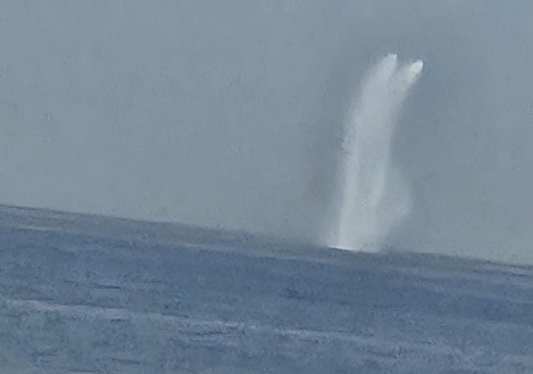 ¿Qué es el chorro de agua que se ha podido ver en el mar frente al Morlaco en Málaga?