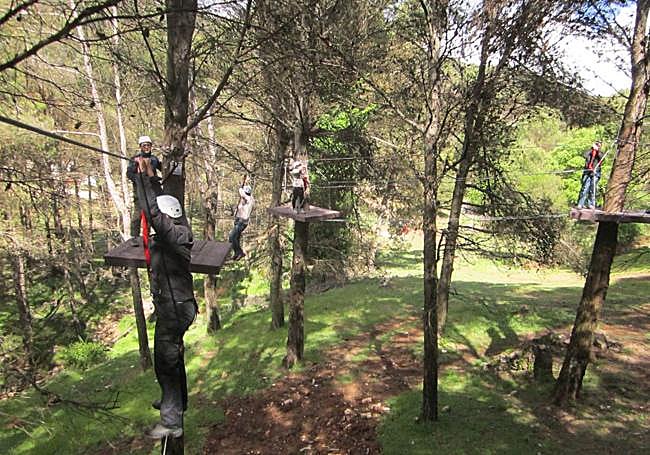 Parque del arborisimo.