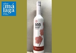 555 Picual