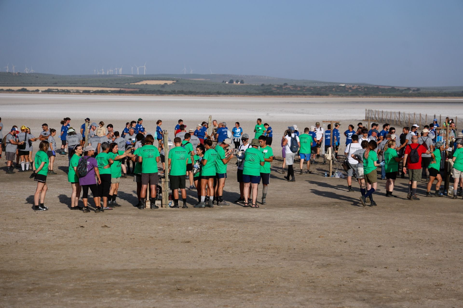 Vuelve el anillamiento de flamencos a Fuente de Piedra tras años de sequía