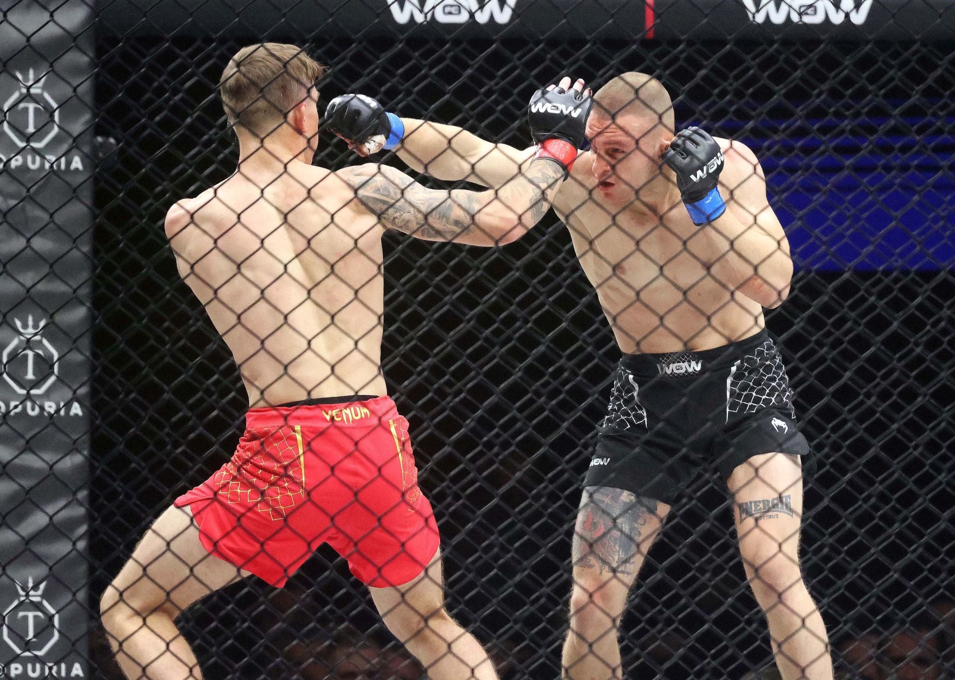 Brett Johns y Alexis Vera, los reyes del WOW 21 en Starlite