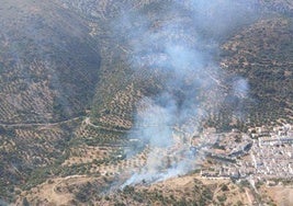 Vista de la zona donde se ha declarado el incendio.