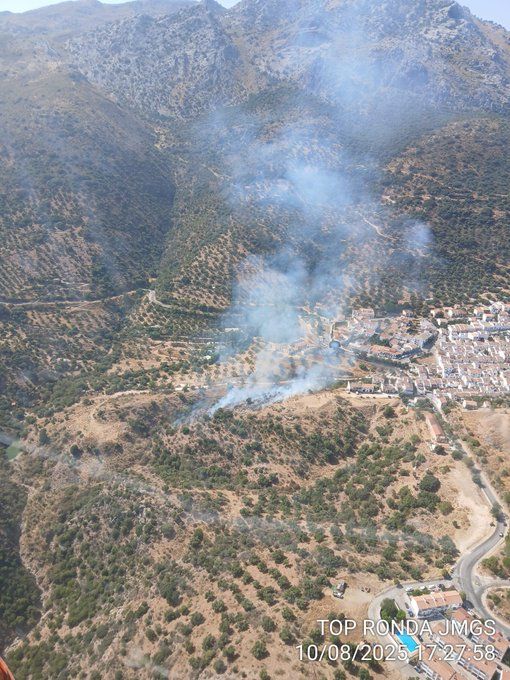 Vista de la zona donde se ha declarado el incendio.