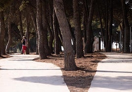 Un nuevo parque para la Gran Málaga: la transformación del Benítez toma forma