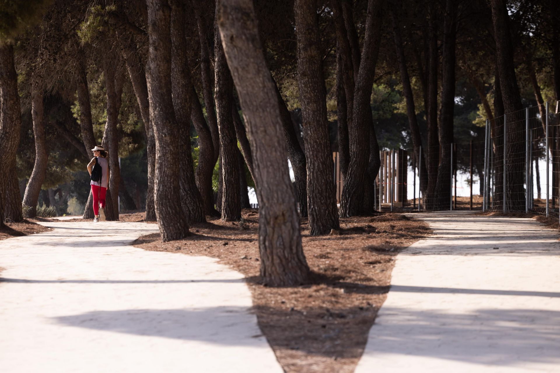 Un nuevo parque para la Gran Málaga: la transformación del Benítez toma forma