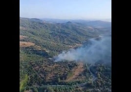Controlado el incendio forestal en Gaucín