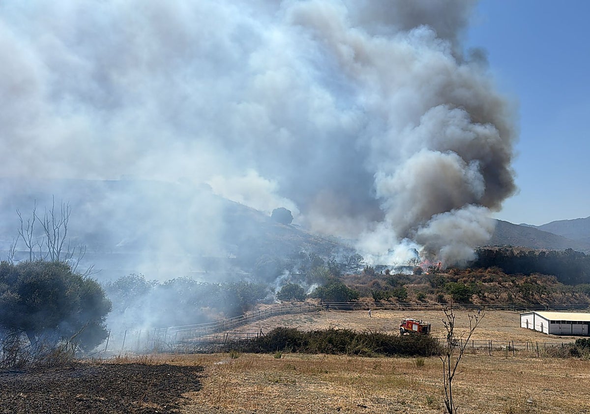 Imagen principal - Extinguido el incendio forestal en La Cala de Mijas: una colilla pudo ocasionarlo