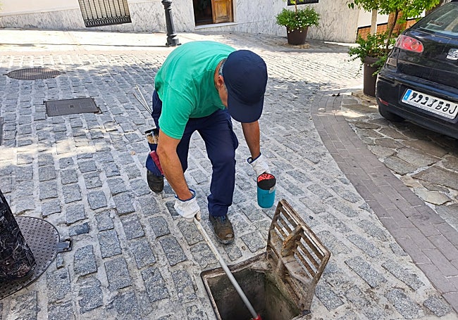 Aplicación de larvicidas en un imbornal del casco urbano de Monda.