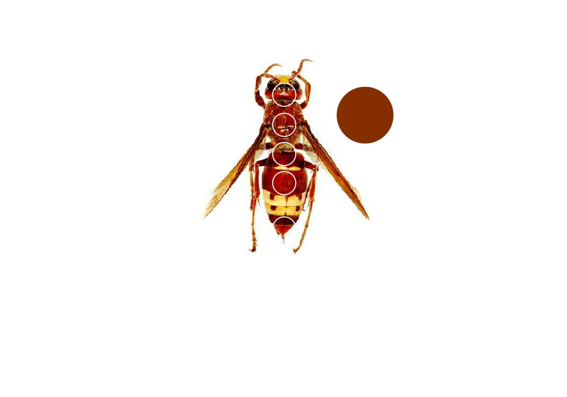 Scroll Story imagen 2