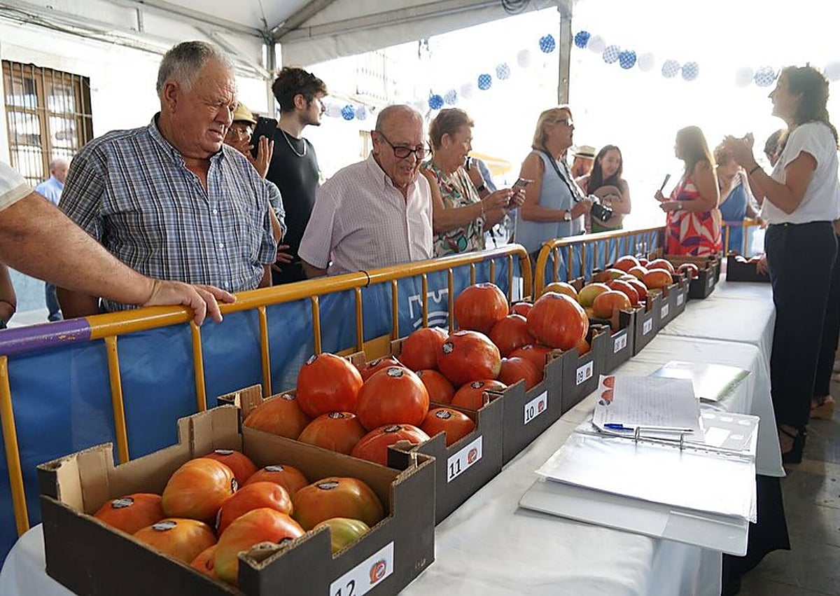 Imagen secundaria 1 - Varios momentos del Concurso Subasta y Concurso Hortofrutícola.