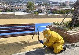 Bombero del Consorcio Provincial interviene para retirar un nido.