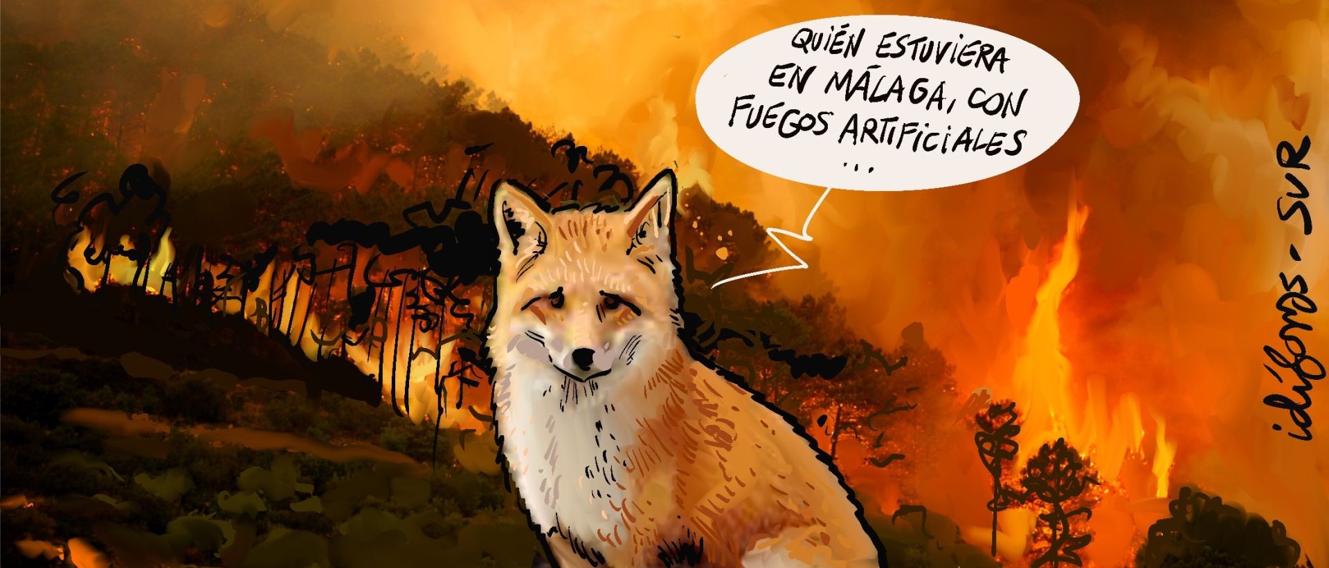 El mes de agosto, en las viñetas de Idígoras y Pachi