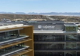 Cajamar habilita una línea de financiación de 20 millones para los afectados por los incendios en Cádiz y otras regiones