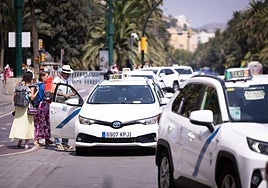 Taxis prestando servicio en el Centro de Málaga en el inicio de la feria.