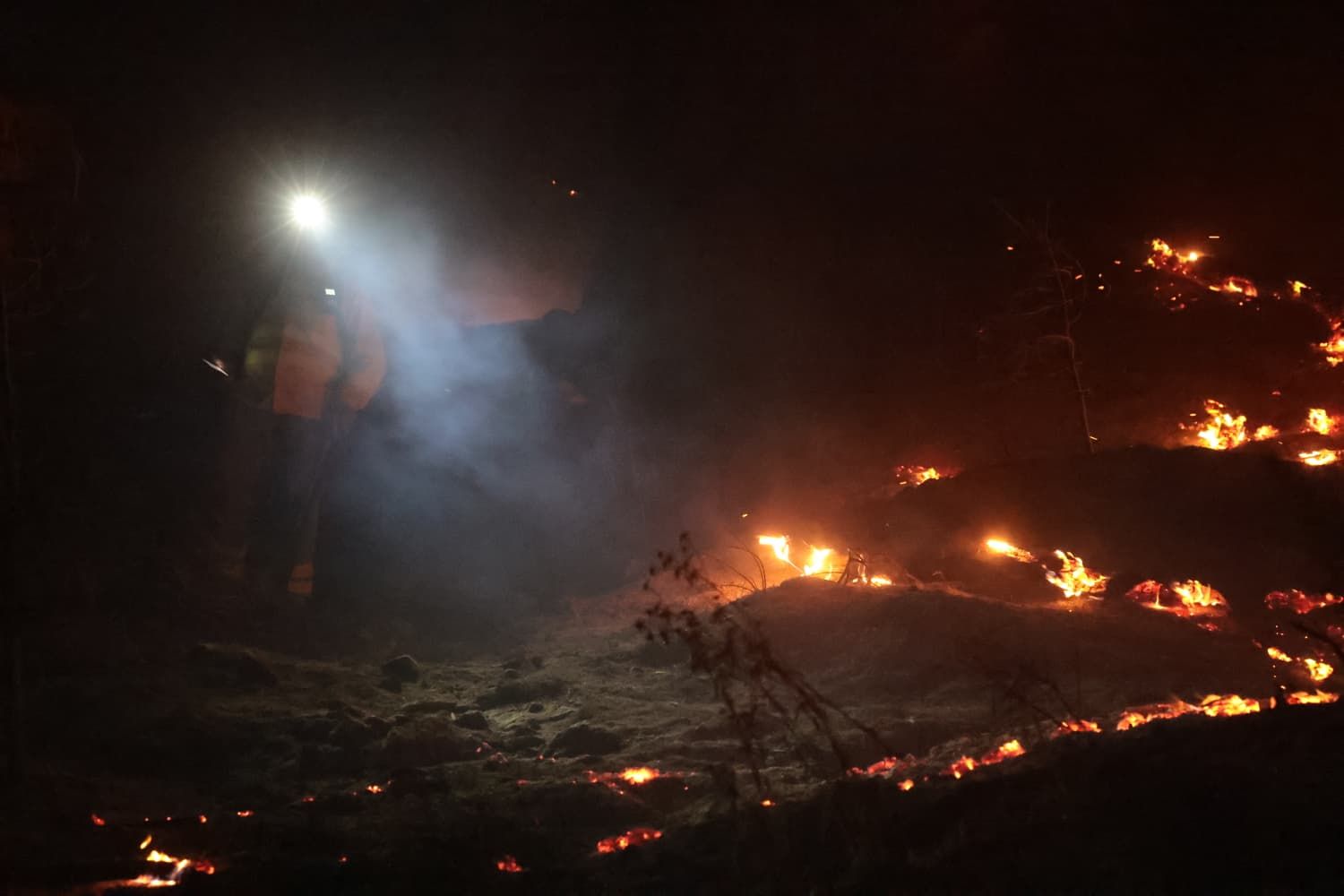 Incendio forestal en el Cerro de la Tortuga de Málaga capital