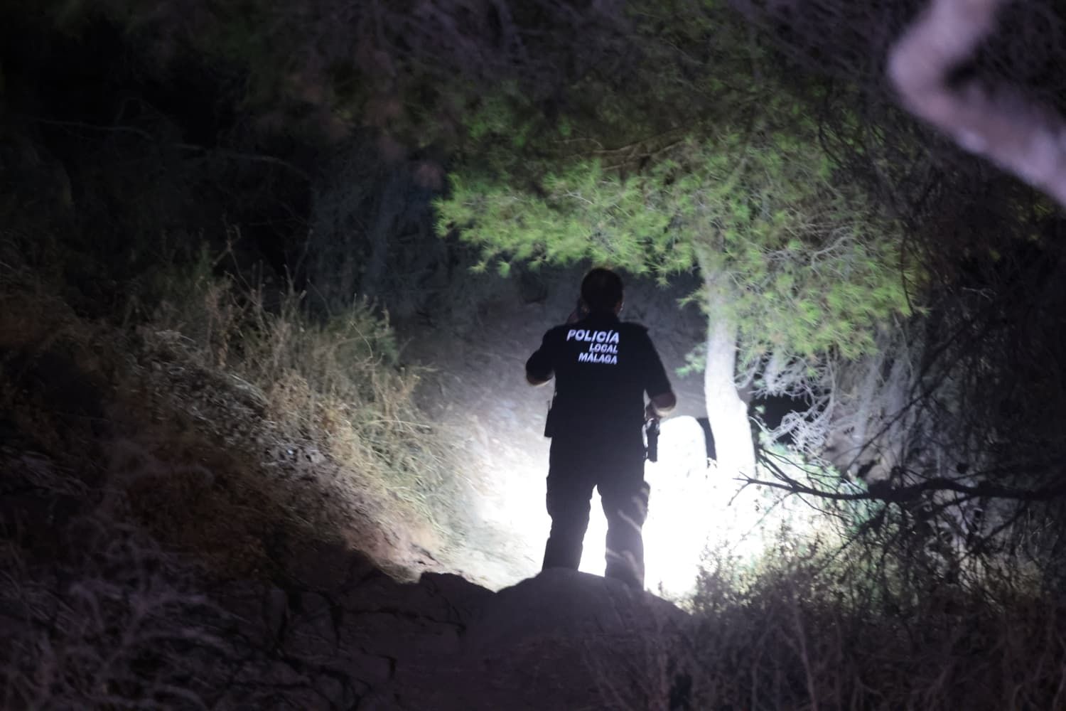 Incendio forestal en el Cerro de la Tortuga de Málaga capital