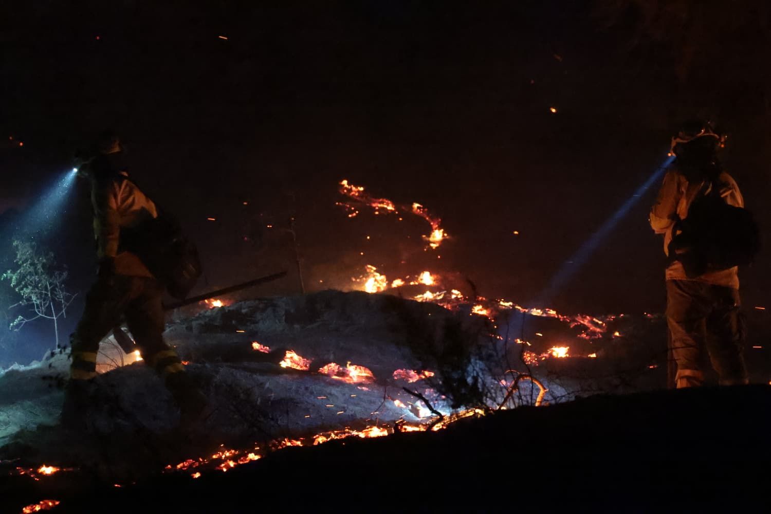 Incendio forestal en el Cerro de la Tortuga de Málaga capital