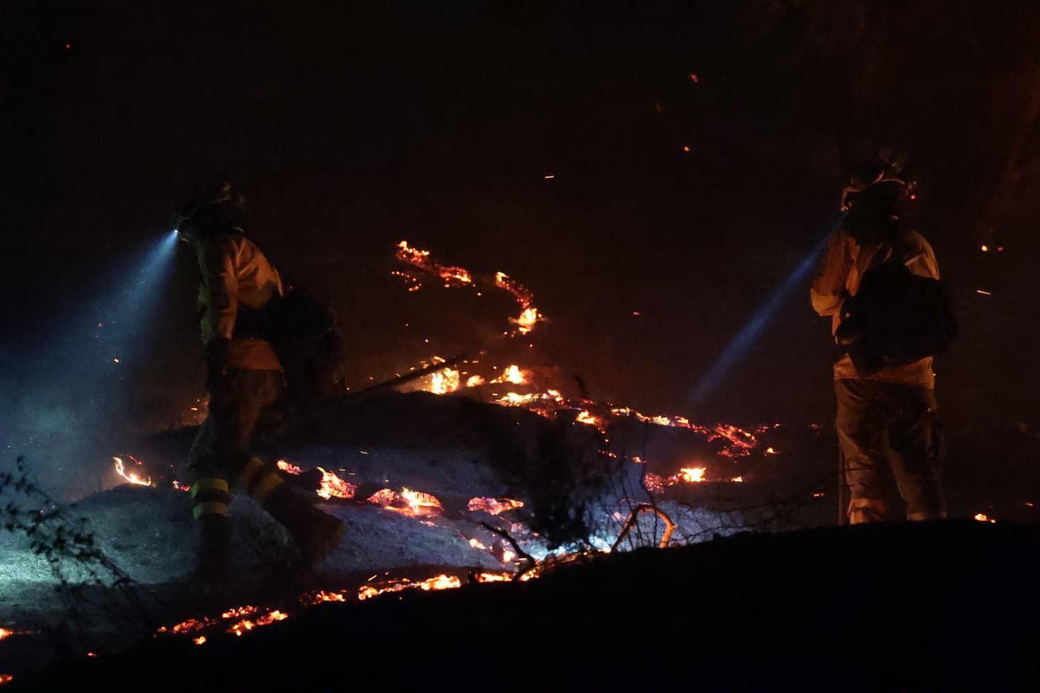 Incendio forestal en el Cerro de la Tortuga de Málaga capital