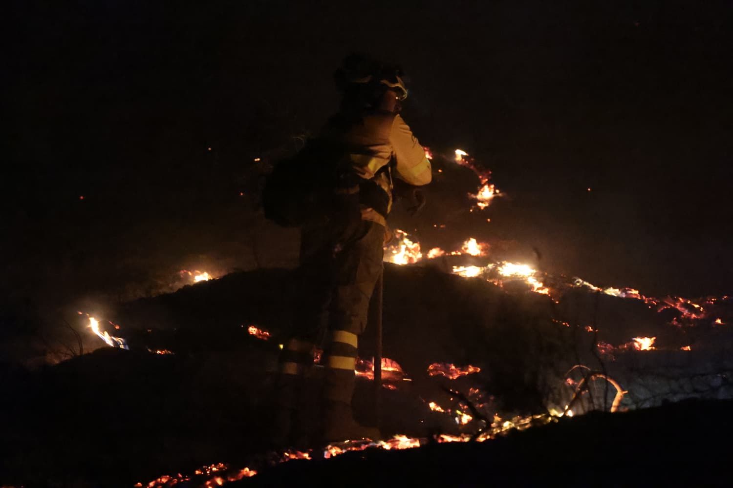 Incendio forestal en el Cerro de la Tortuga de Málaga capital