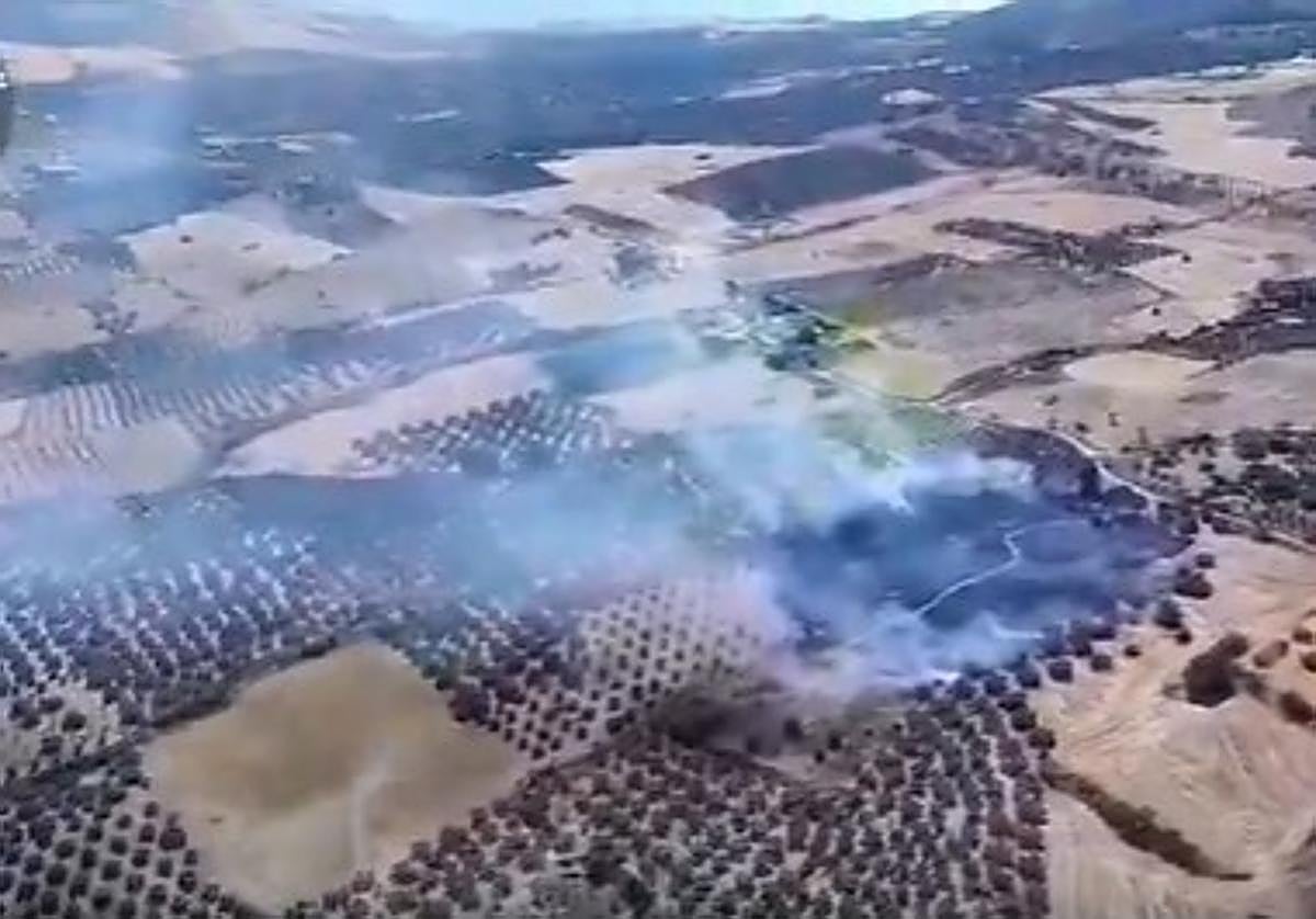 Imagen del fuego compartida por el Infoca.