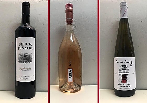 La cata | Los vinos destacados de la cuarta semana de agosto