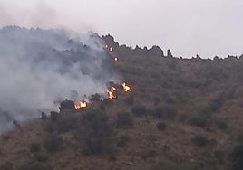 El Servicio de Extinción de Incendios Forestales de Andalucía ha movilizado un dispositivo conformado por medios aéreos y terrestres.