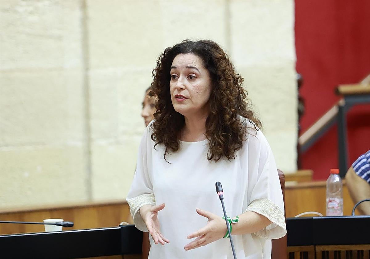 La actual portavoz parlamentaria de la coalición Por Andalucía, Inmaculada Nieto.