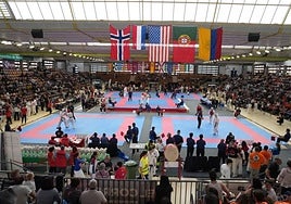 La Federación Española de Kárate cesa al seleccionador detenido por abusar de menores en Torremolinos