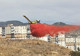 Extinguido el incendio en Monte Coronado en Málaga tras más de 22 horas activo
