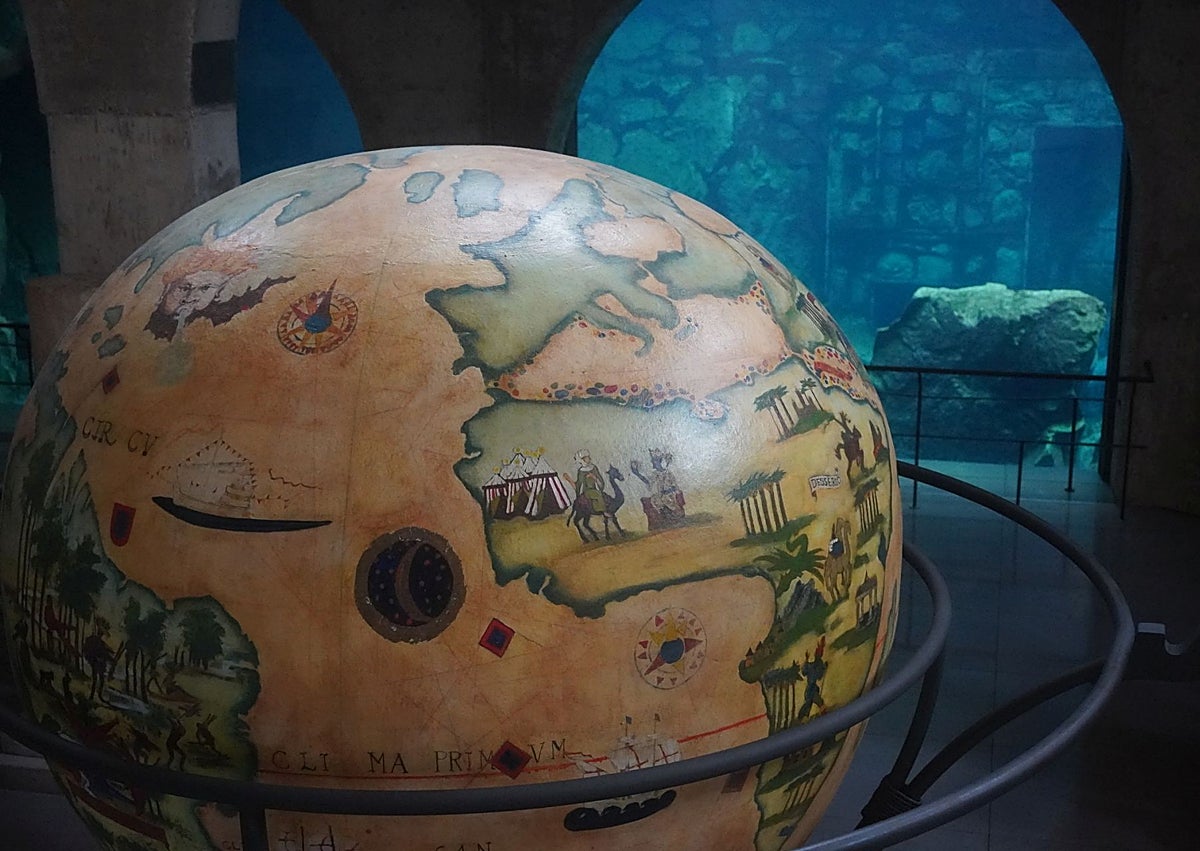 Imagen secundaria 1 - El orangután de Borneo e imágenes de la actividad.