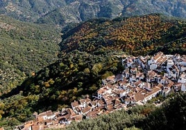 El municipio malagueño de Benalauría.