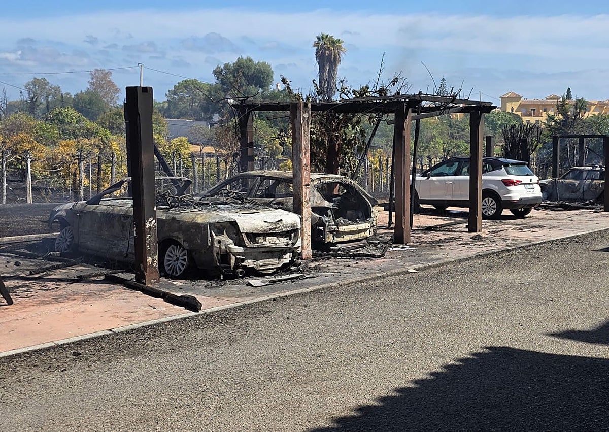 Imagen secundaria 1 - Terrenos calcinados en el incendio del término municipal de Estepona, cercanos a Parque Antena.
