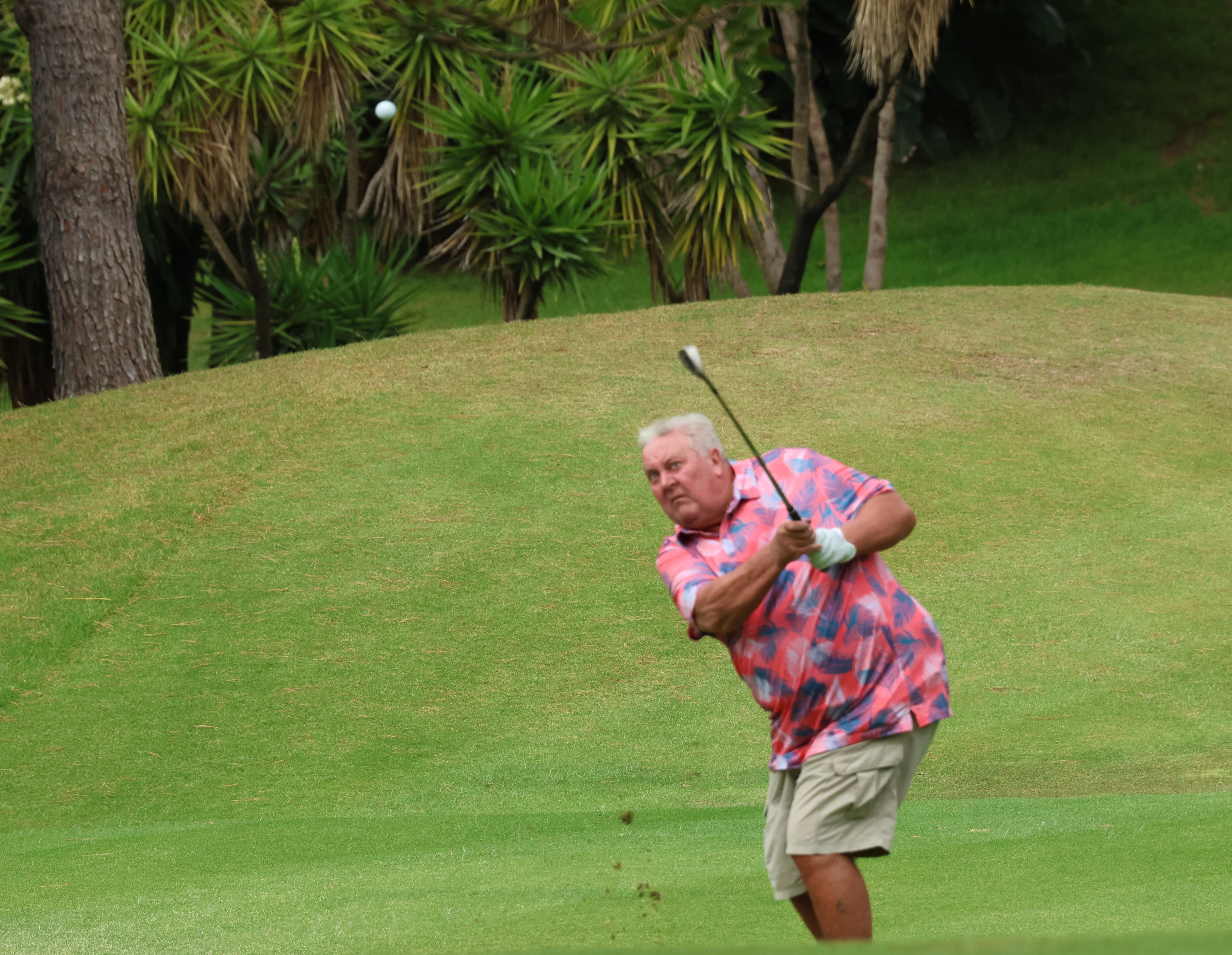 Torneo de Golf Diario SUR