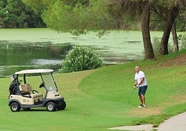 Torneo de Golf Diario SUR