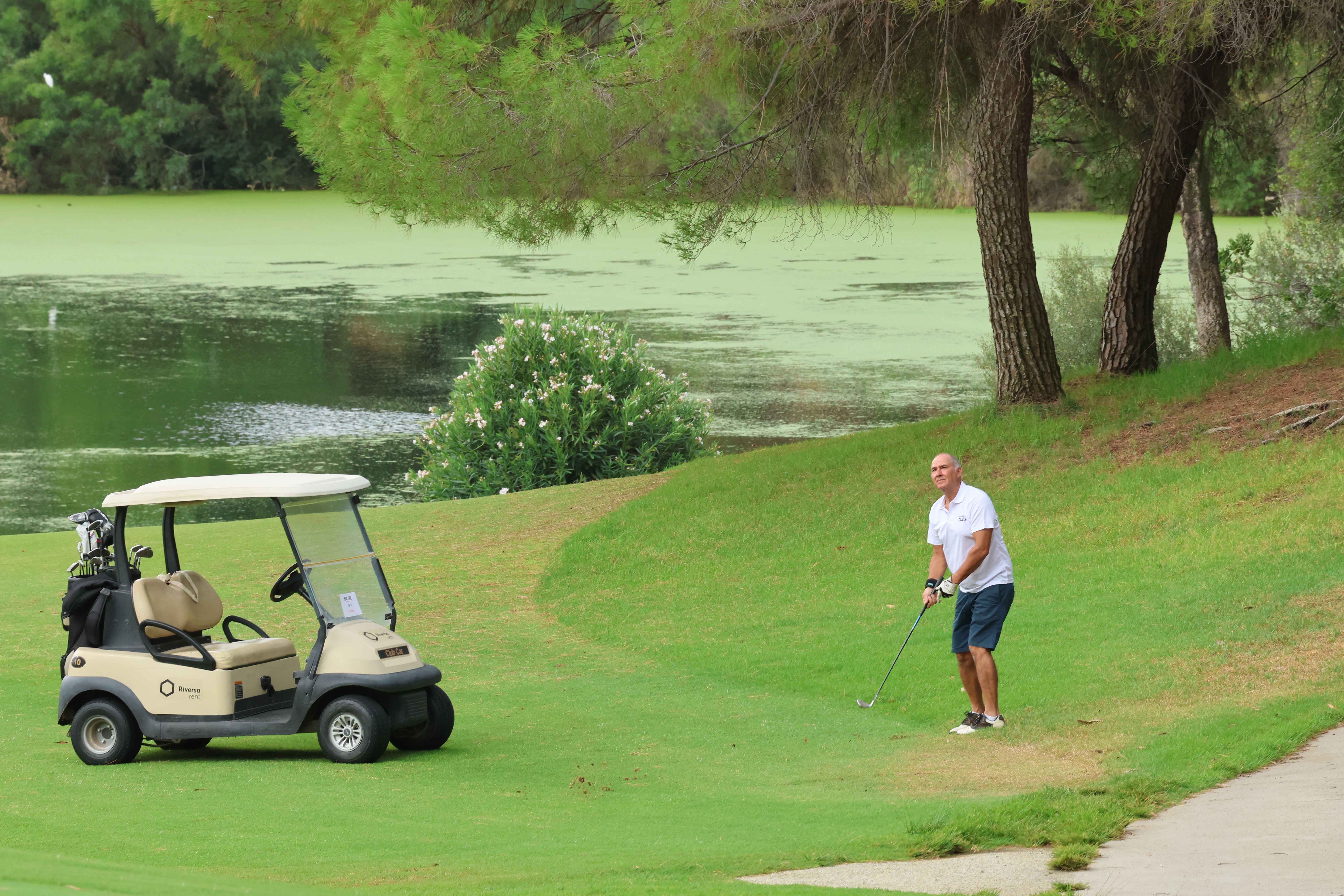 Torneo de Golf Diario SUR