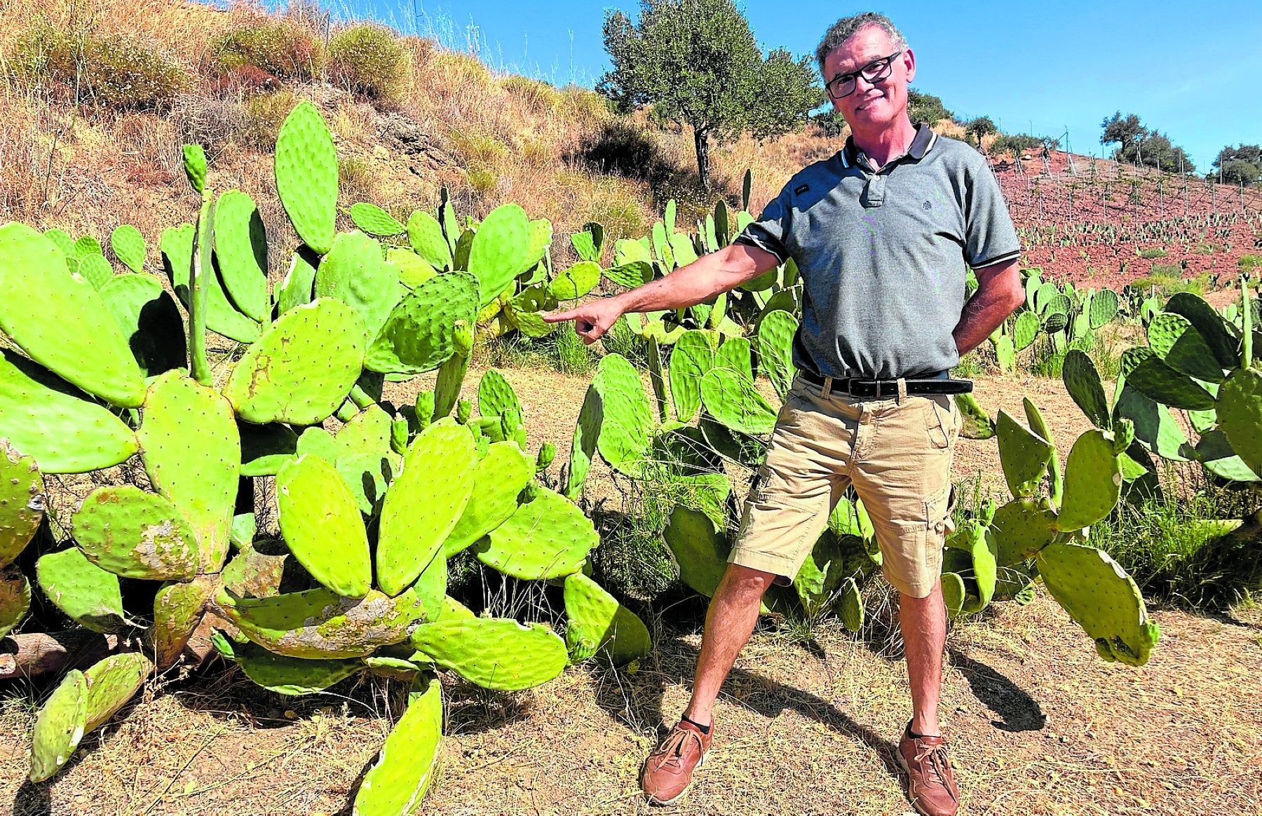 José Miguel Guzmán, productor de 'El Tío Lo Chumbo', muestra con orgullo sus chumberas en Coín.