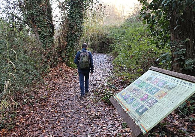Camino junto al arroyo de las Ventillas.