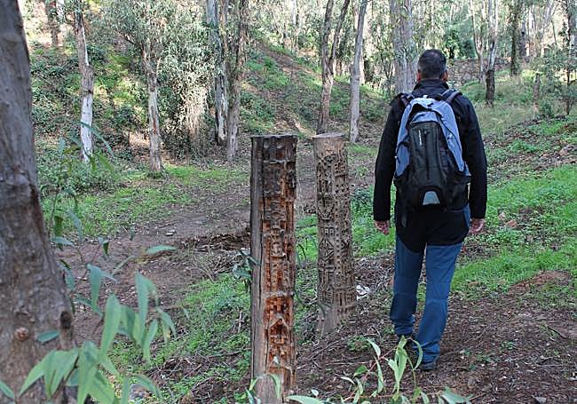 Por el Bosque Mágico de Málaga.