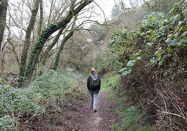 Sendero junto al arroyo Marín, en Archidona.